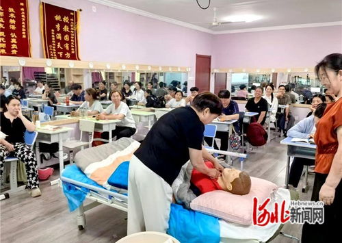 石家莊市橋西區 抓實技能培訓，賦能職工就業——市場調查服務助力就業新路徑